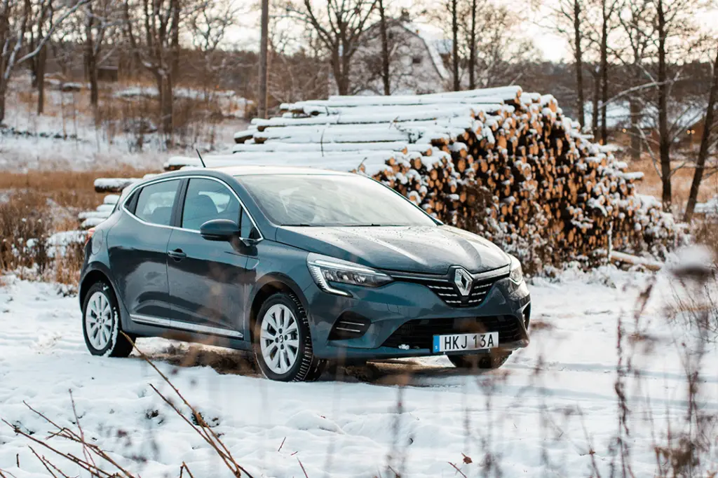 Renault-Clio-front-träd